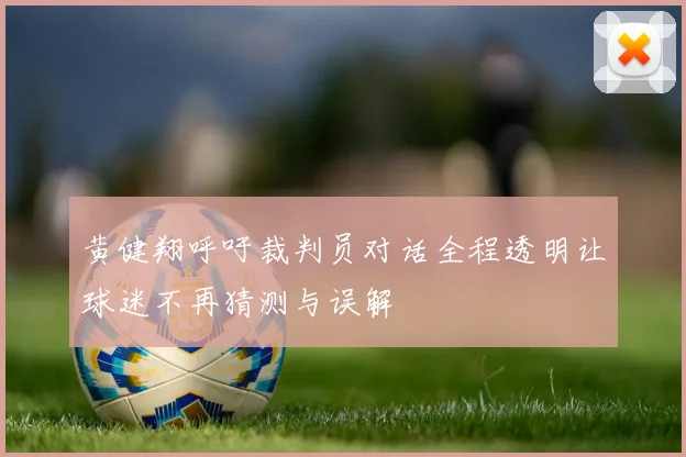 黄健翔呼吁裁判员对话全程透明让球迷不再猜测与误解